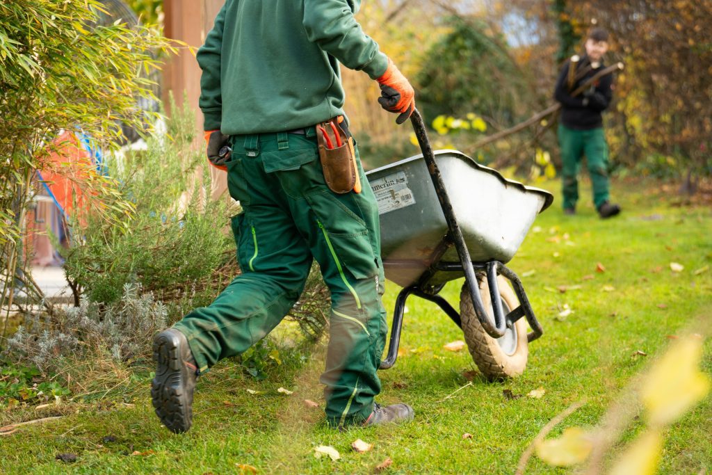 How to Start a Landscaping Business in College at 18 (and Pay for Your Degree)