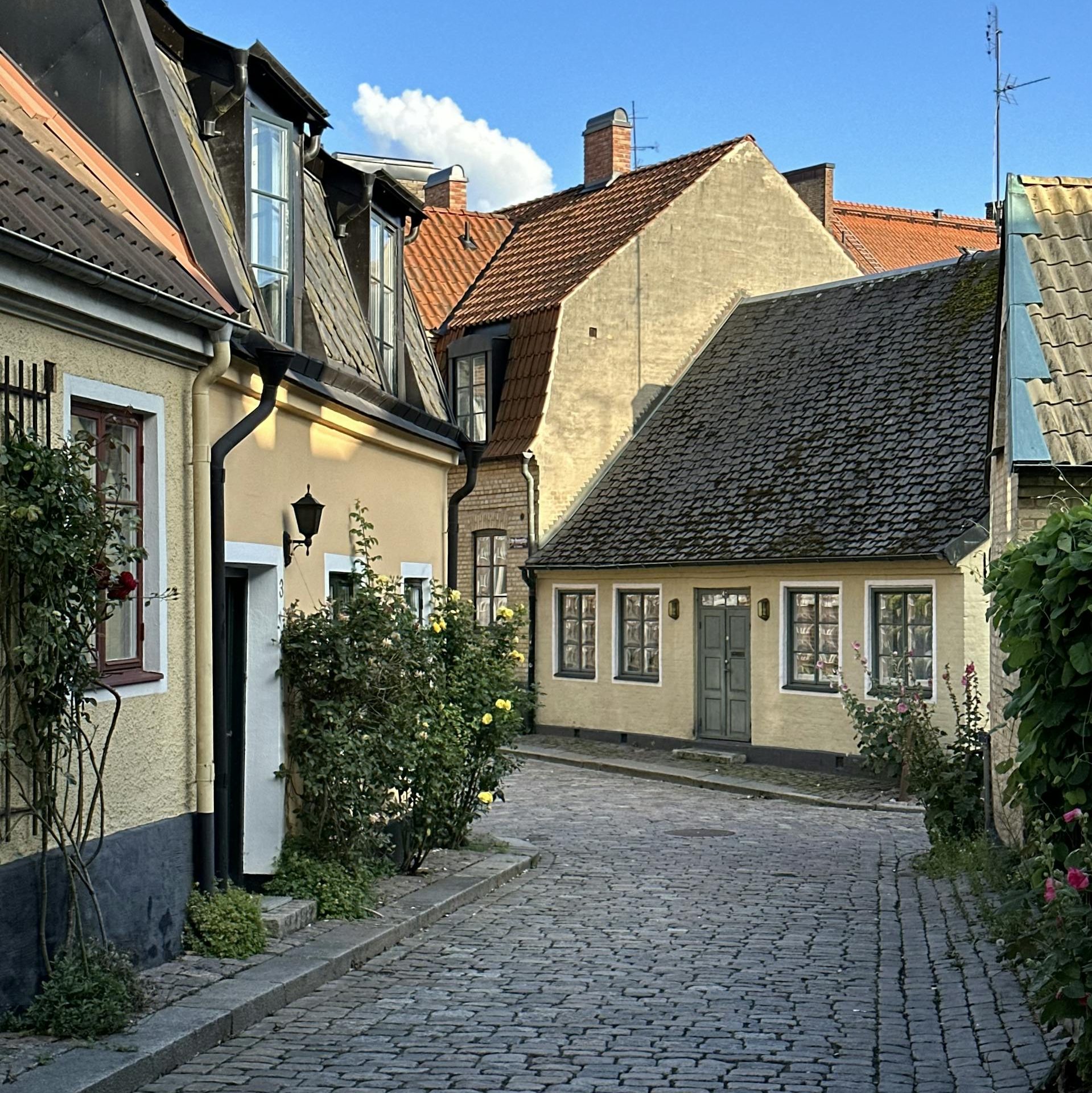 Quaint cobblestone street scene with historic homes in Lund, Sweden. Perfect for travel and architecture enthusiasts.