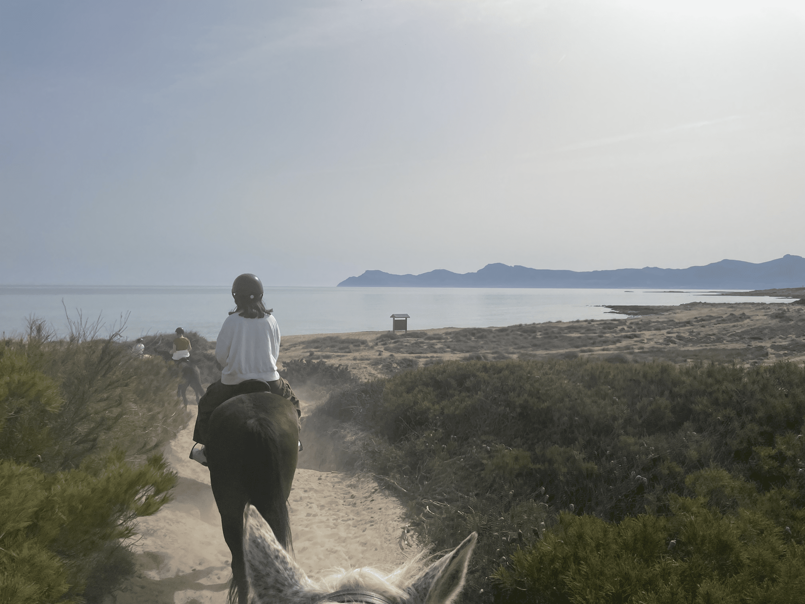 Horseback riders along the beach trail in Mallorca, overlooking the sea and mountains