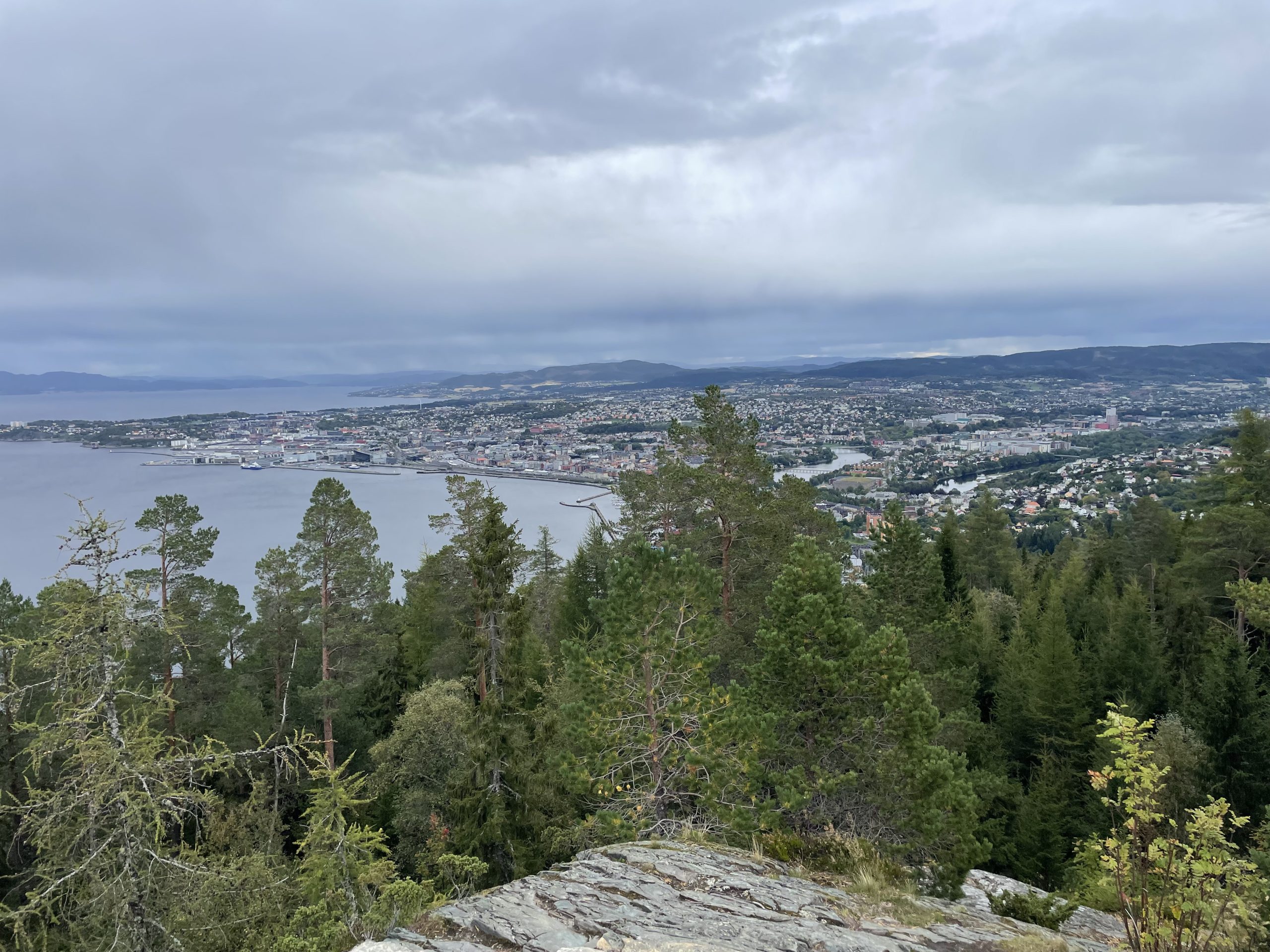 View from Våttakammen viewpoint overlooking Trondheim, Norway, and Trondheimsfjord surrounded by forest and hills.