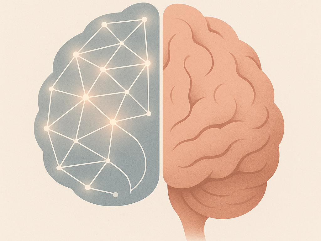 Illustration of a brain split in half, with one side showing neural network connections and the other side showing organic folds, representing how AI predicts patterns while humans think and feel.
