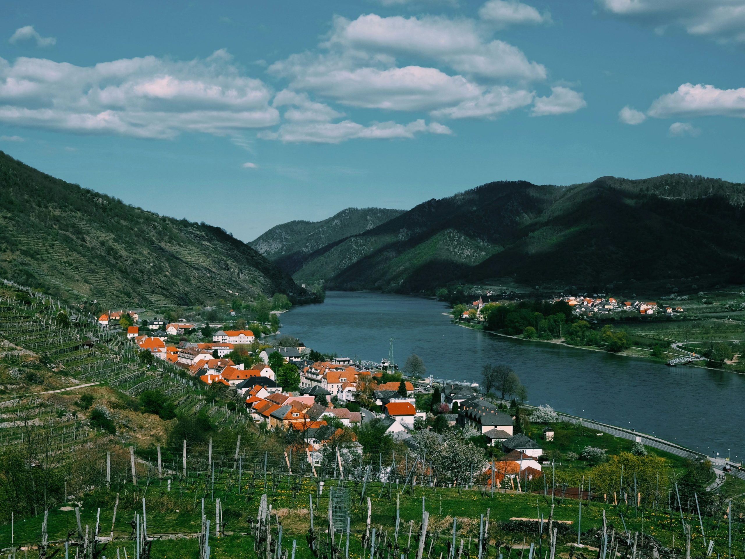 Vineyards overlooking the Wachau Valley near Krems an der Donau, with a riverside village and the Danube River between green hills
